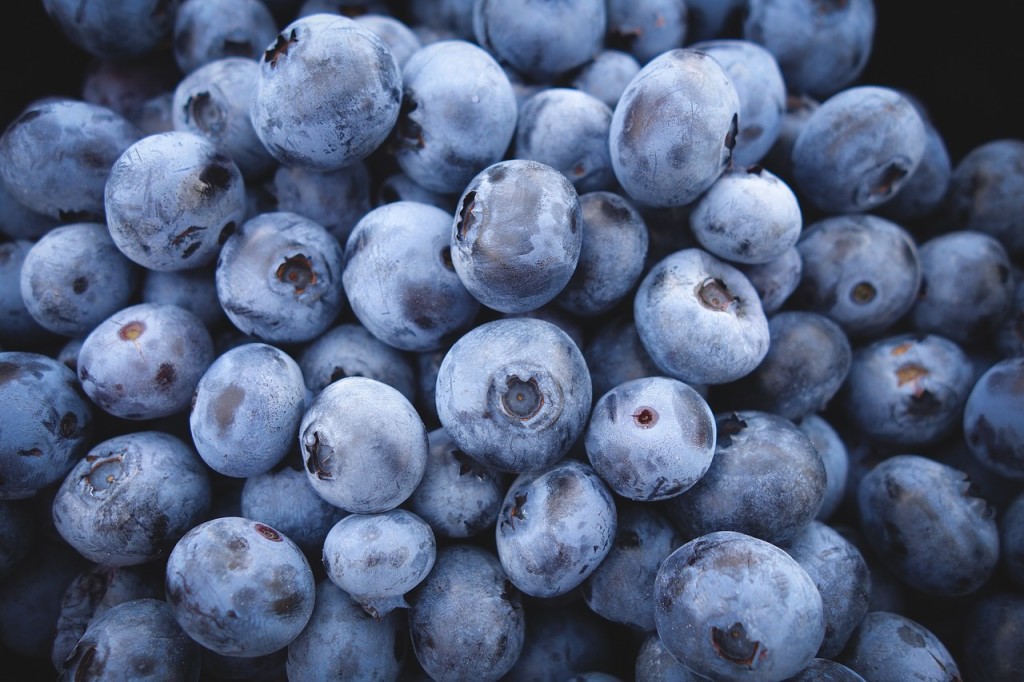 blueberries are high in fiber
